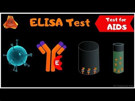 elisa test video|elisa test youtube.